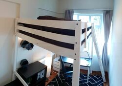 Novena Lodge (D11), Condominium #483670431